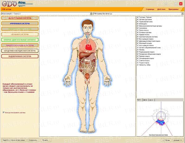 GDV Atlas (ГРВ атлас) GDV Atlas (ГРВ атлас) - программа для прибора ГРВ