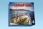 Фильтр "Геракл-Сделай Сам"