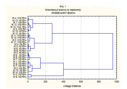 Рис.1. Кластерный анализ по параметру коэффициент формы