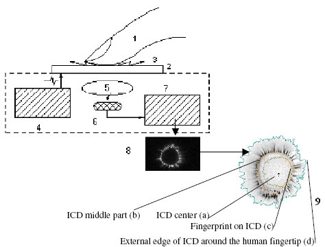 Schematic representation of the system used to visualize ICD along with the processed ICD