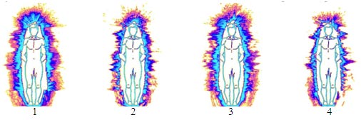 "Аура" йогов до и в процессе медитации
